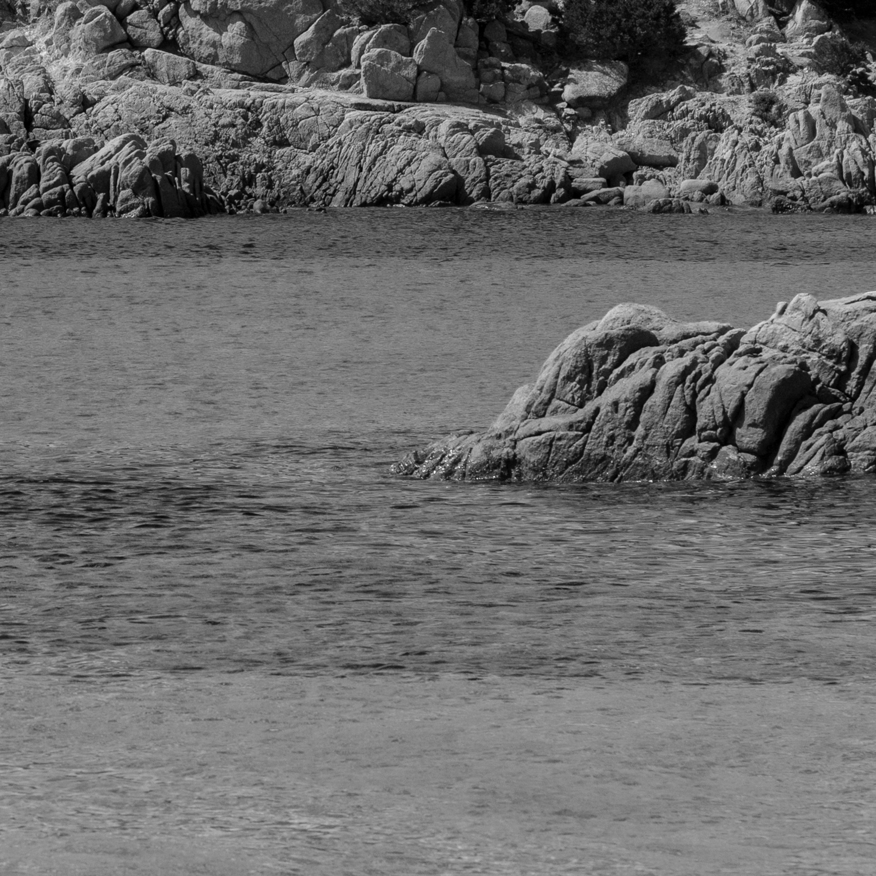 Articolo Gian 20250526 Quad